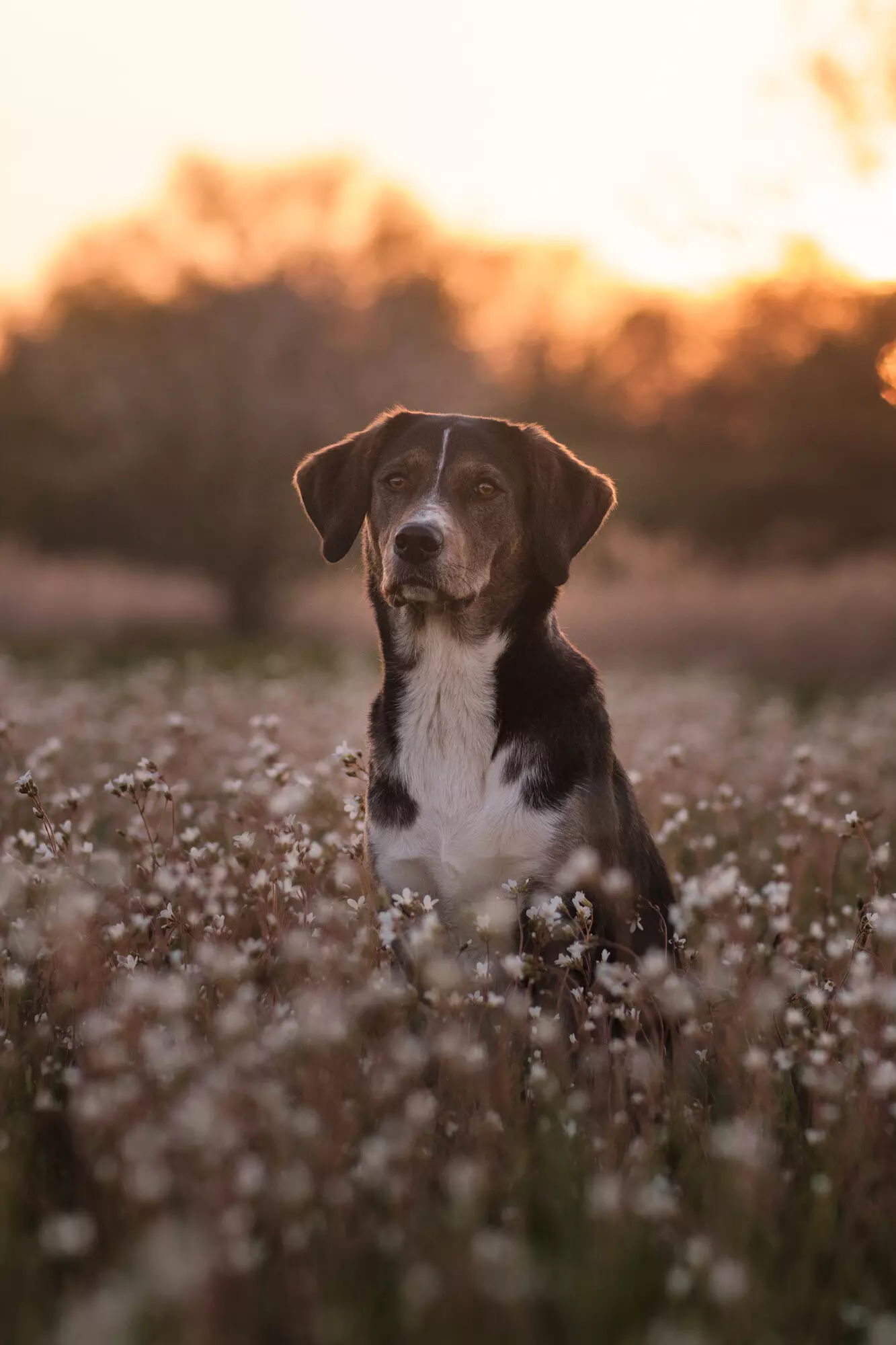 Das ist die Bildbeschreibung